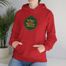 Load image into Gallery viewer, Muslimah Allowance Hoodie - Cozy Religious Sweatshirt, Faith-Based Gift, Unisex Pullover, Perfect for Ramadan, Eid, Daily Wear
